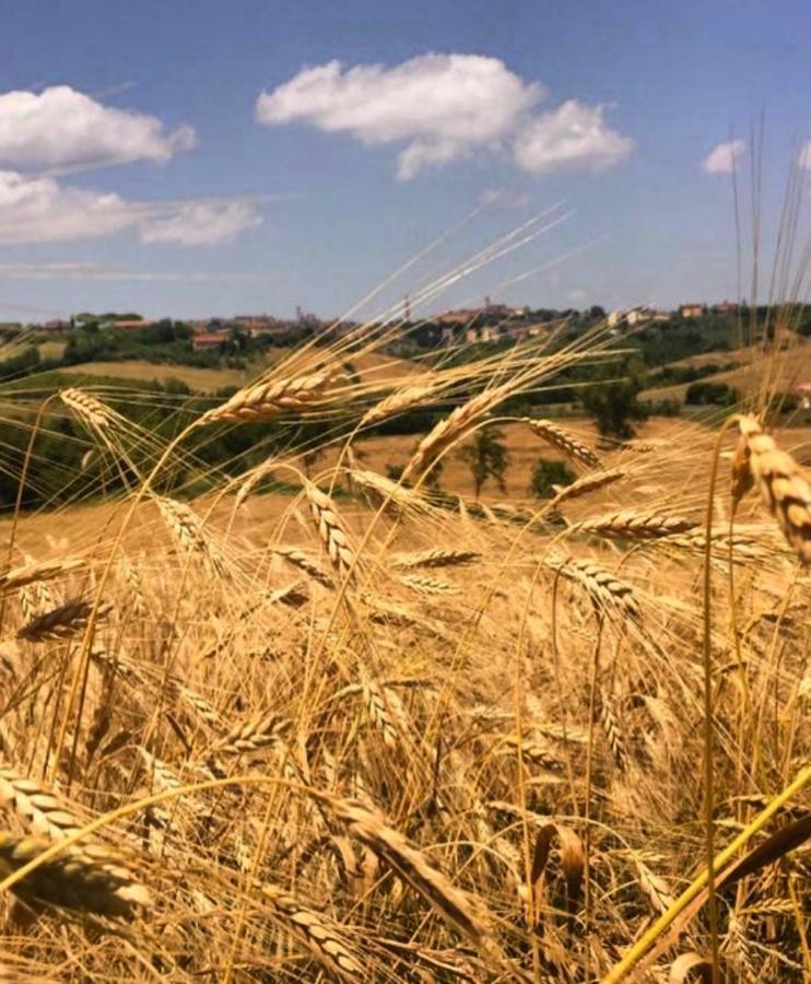 Agriturismo La Corte Del Sole 锡耶纳 外观 照片