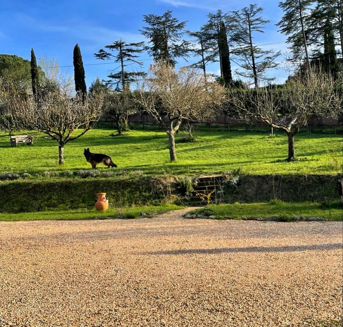 Agriturismo La Corte Del Sole 锡耶纳 外观 照片