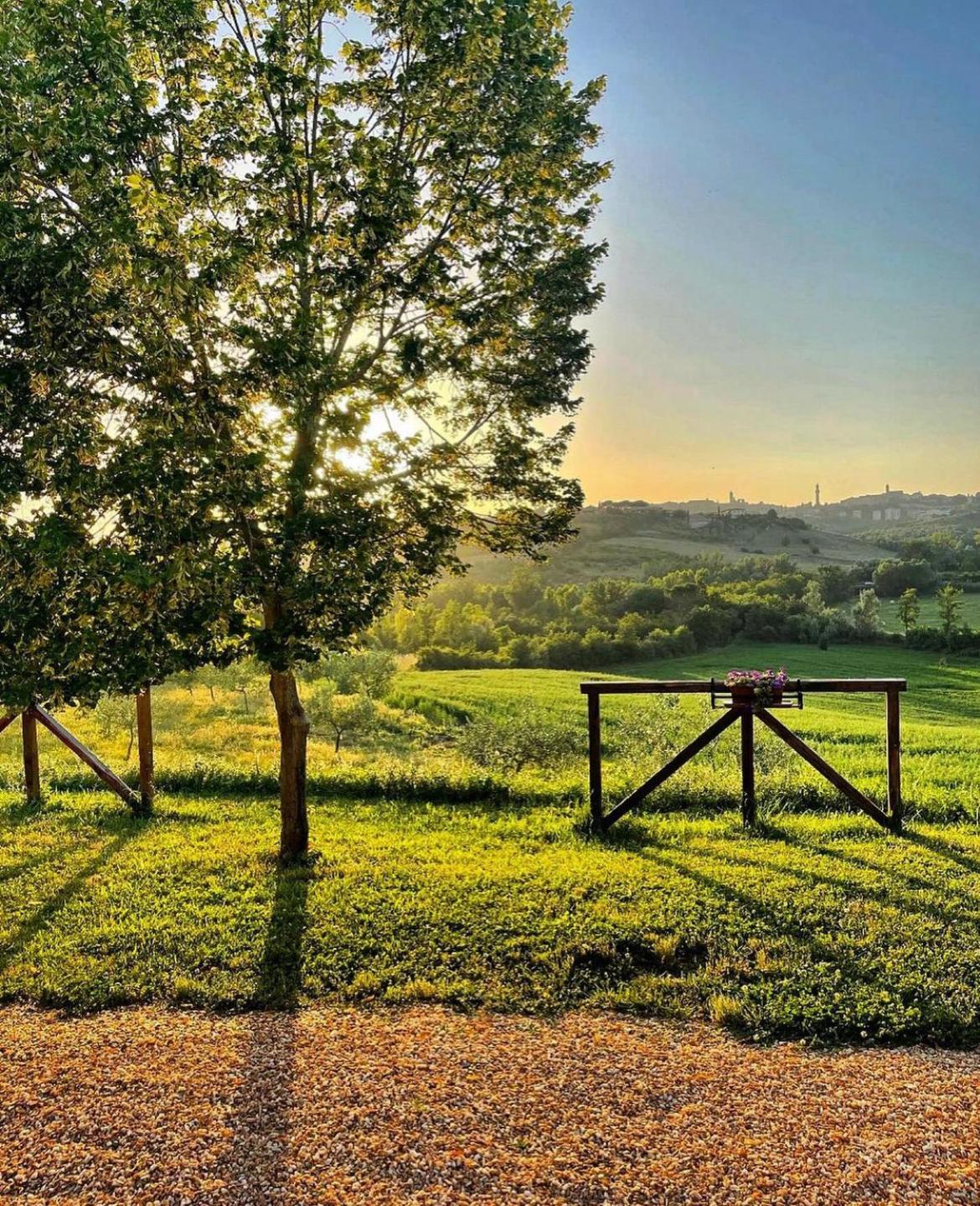 Agriturismo La Corte Del Sole 锡耶纳 外观 照片