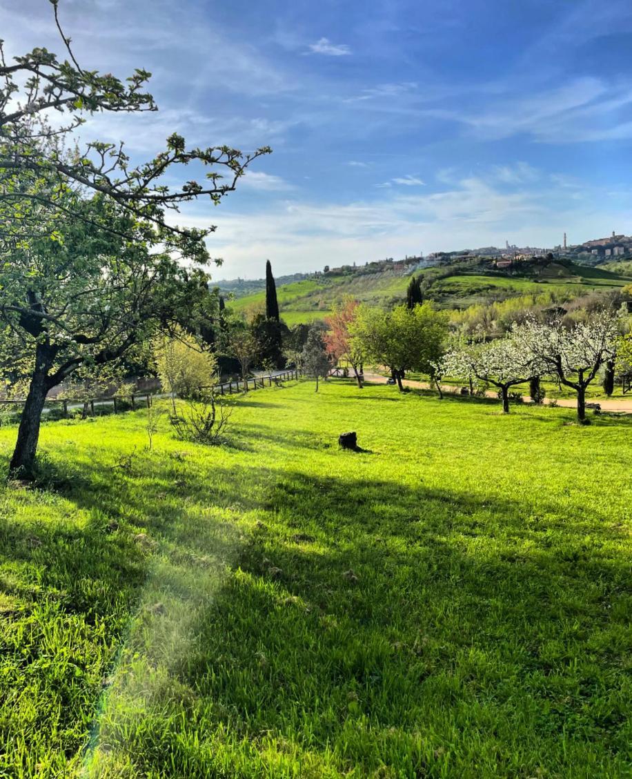 Agriturismo La Corte Del Sole 锡耶纳 外观 照片