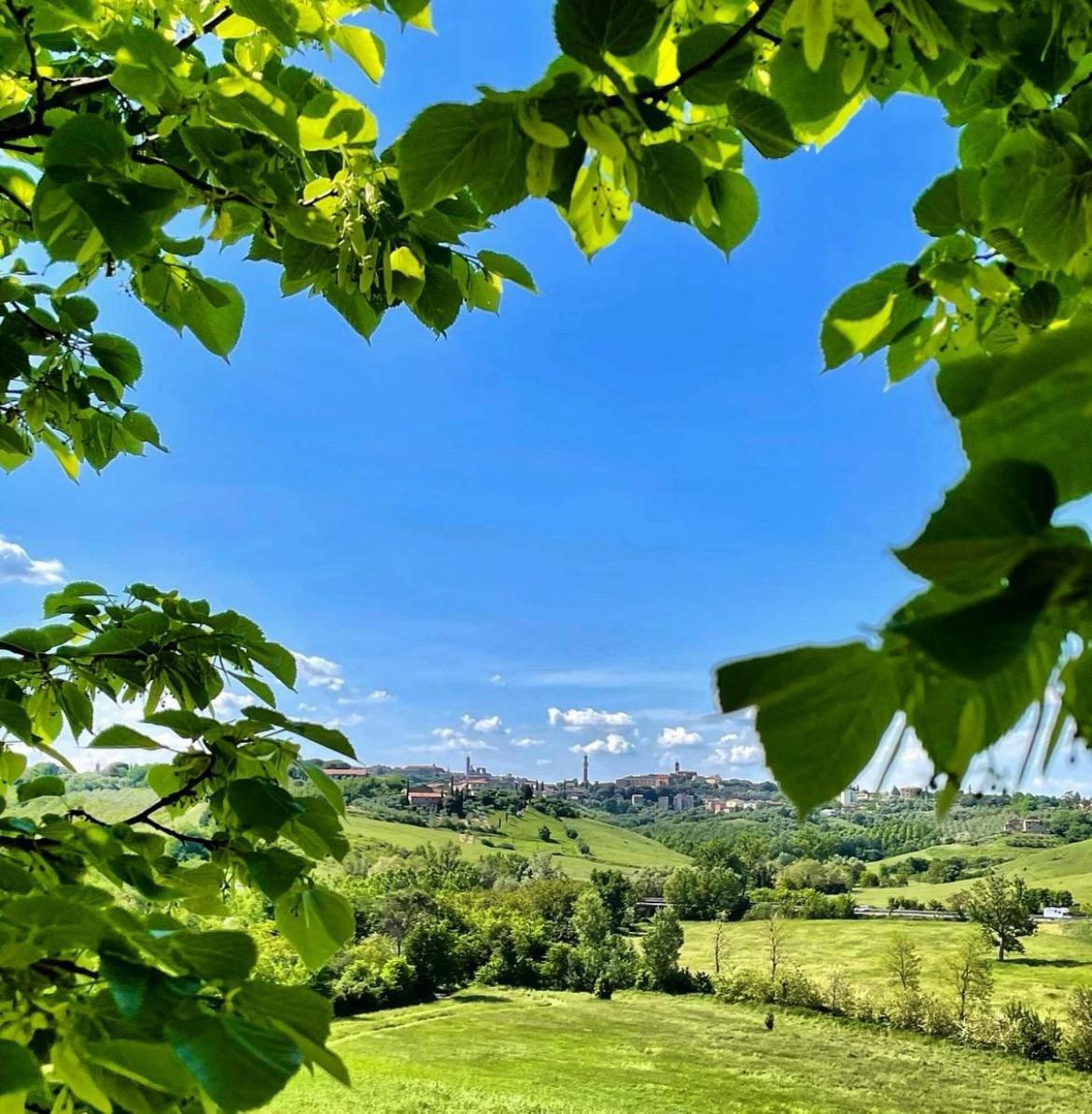 Agriturismo La Corte Del Sole 锡耶纳 外观 照片