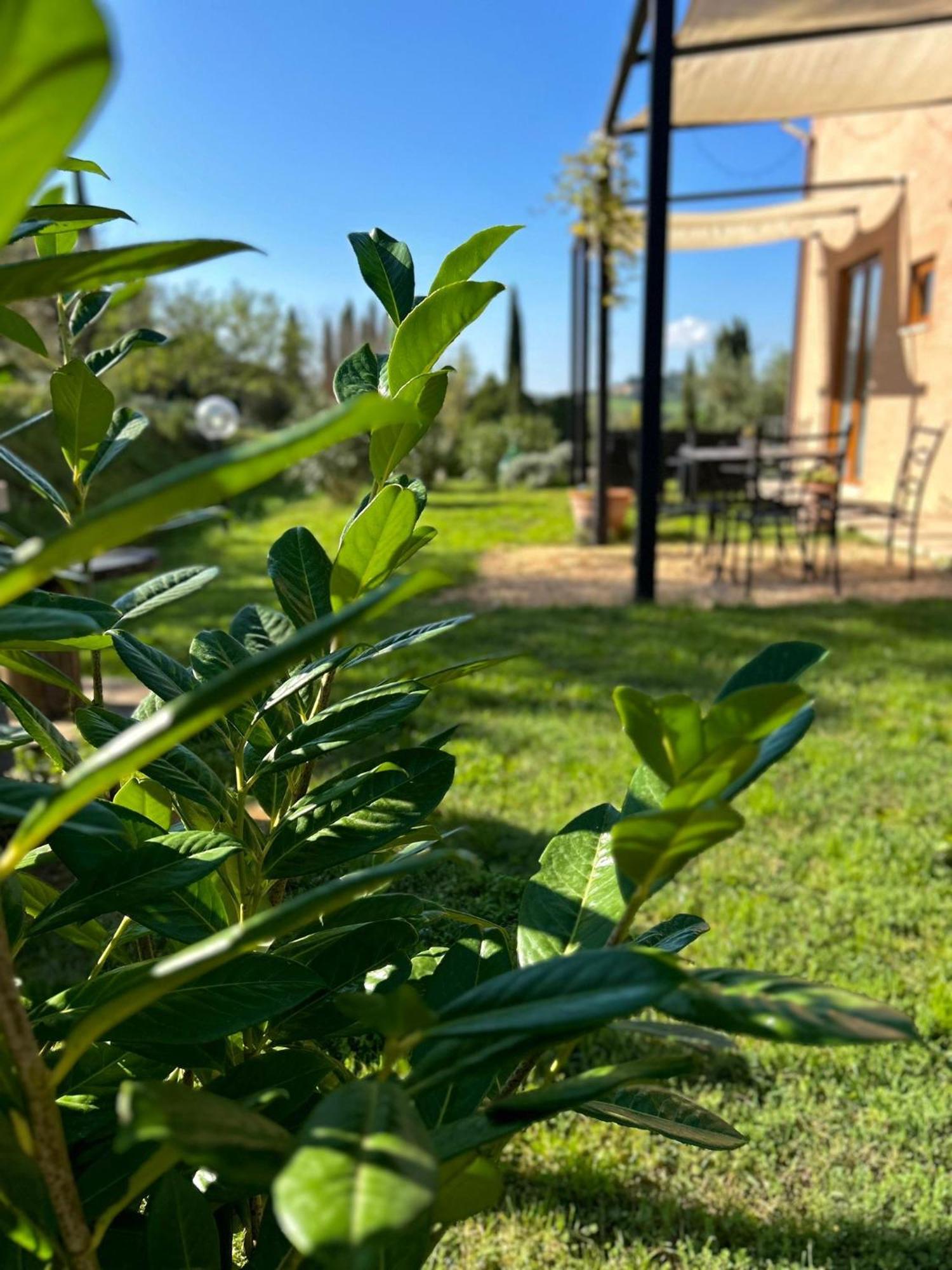 Agriturismo La Corte Del Sole 锡耶纳 外观 照片