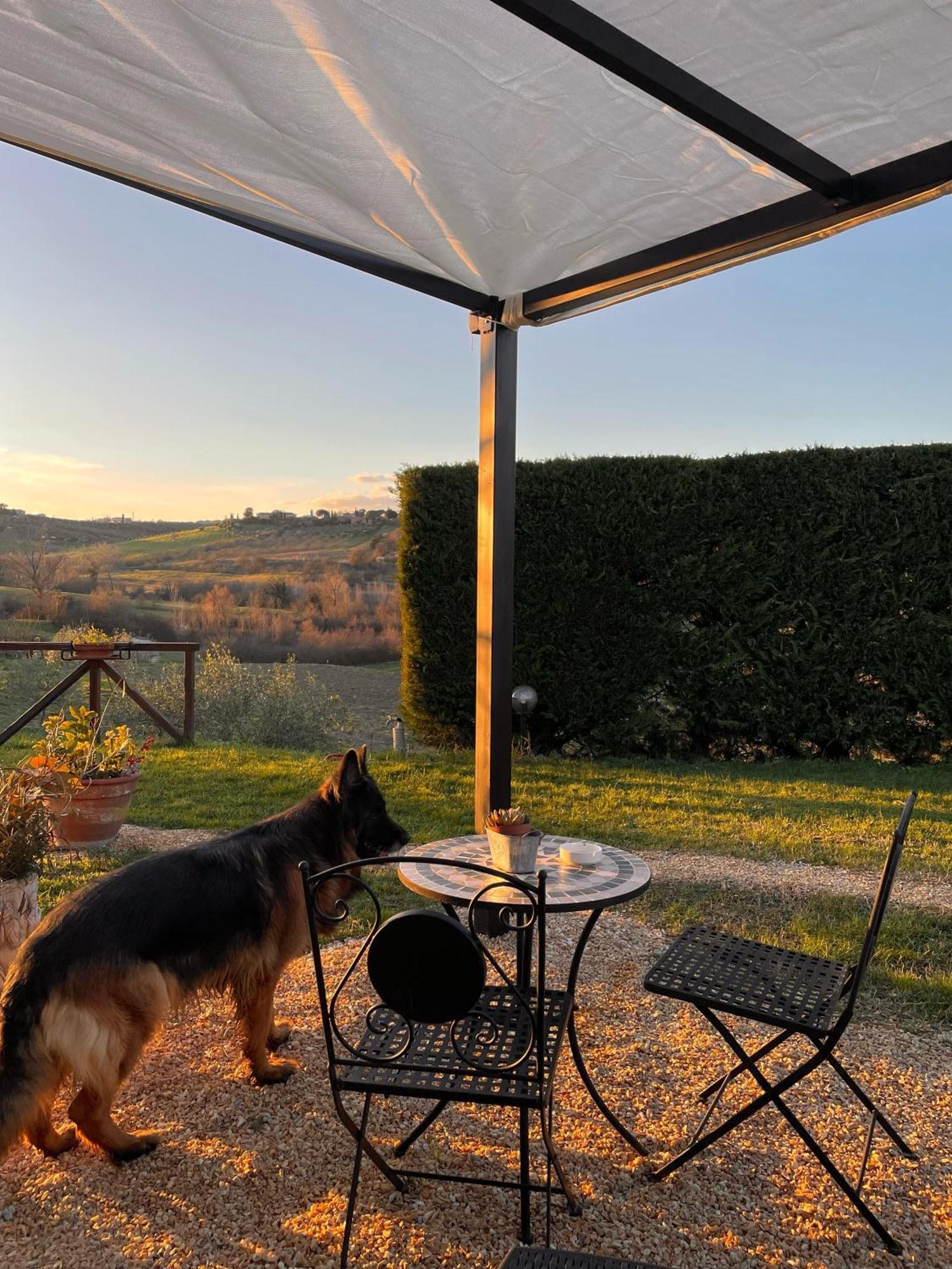Agriturismo La Corte Del Sole 锡耶纳 外观 照片