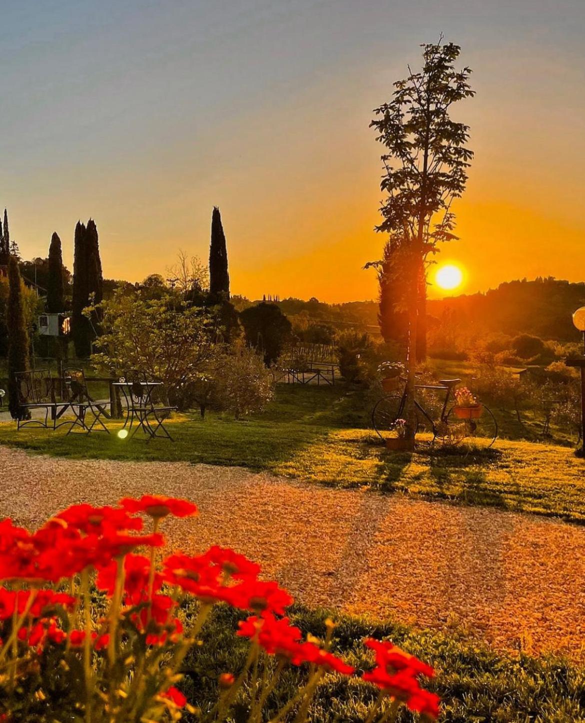 Agriturismo La Corte Del Sole 锡耶纳 外观 照片