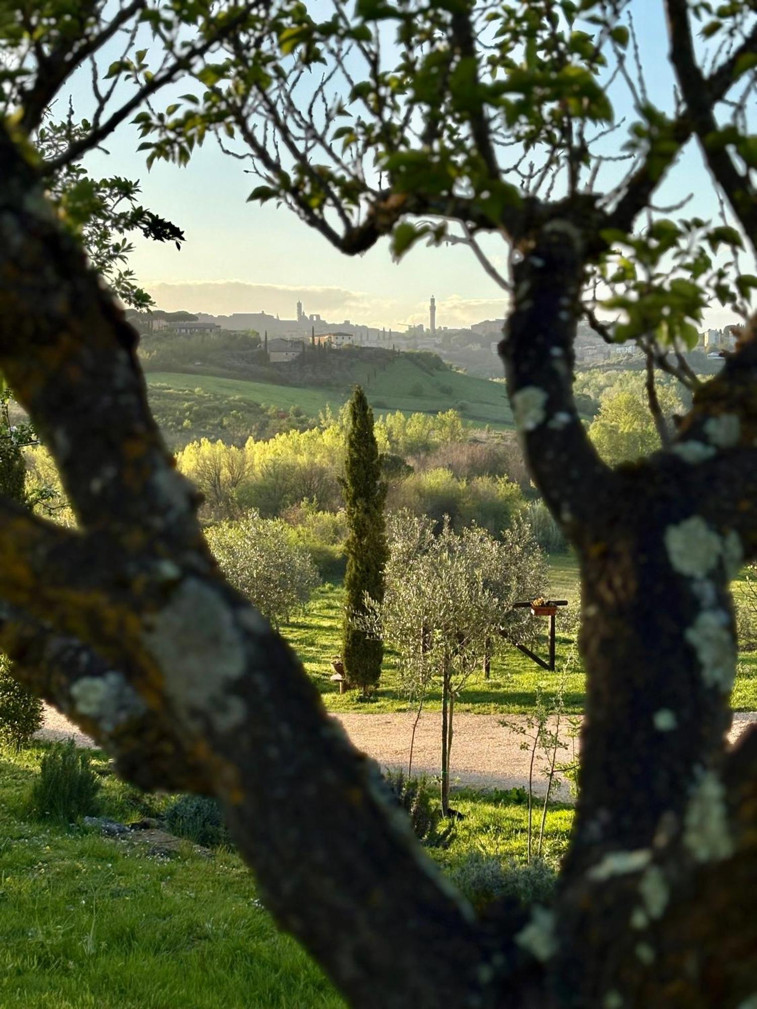 Agriturismo La Corte Del Sole 锡耶纳 外观 照片