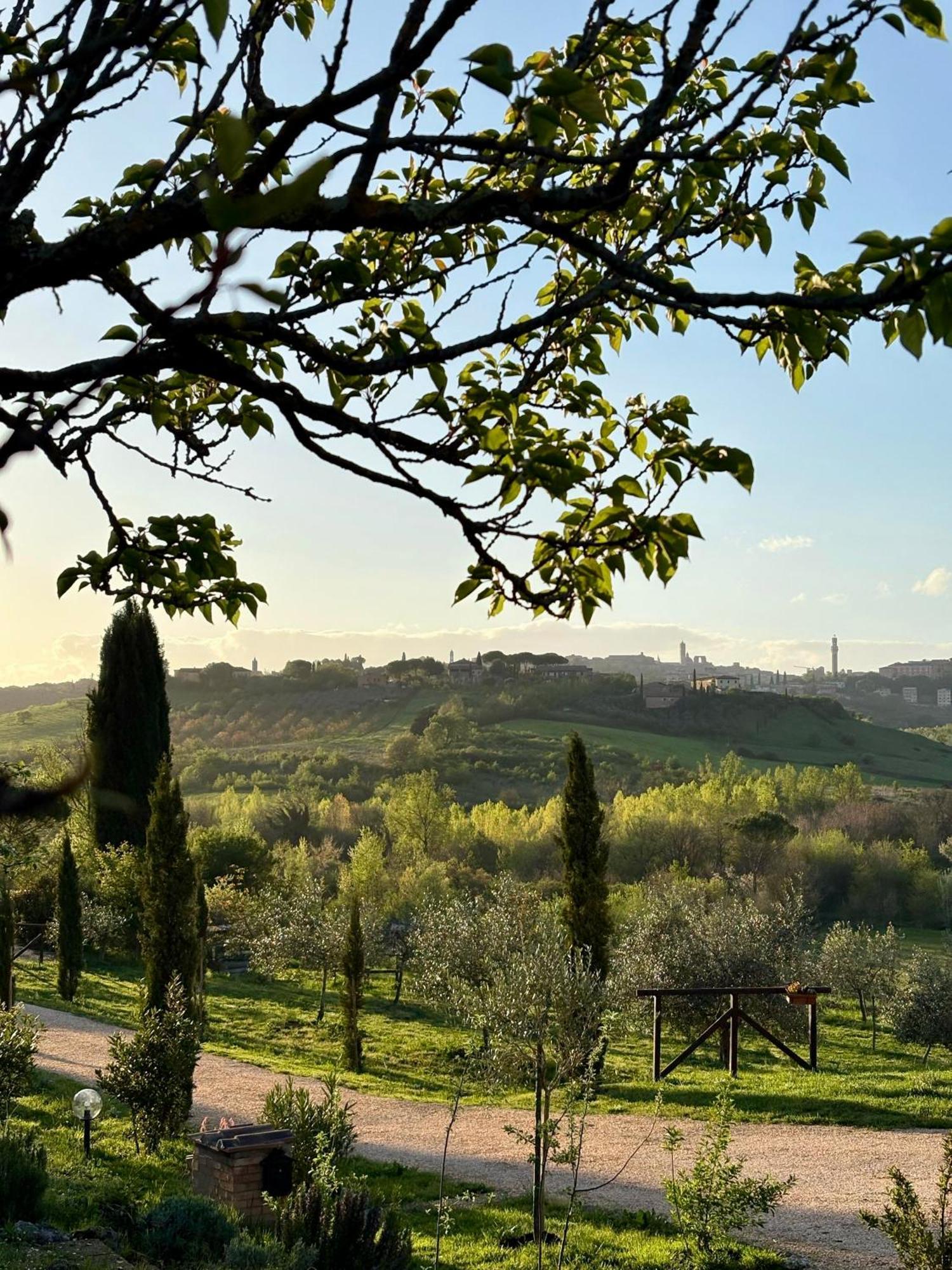 Agriturismo La Corte Del Sole 锡耶纳 外观 照片